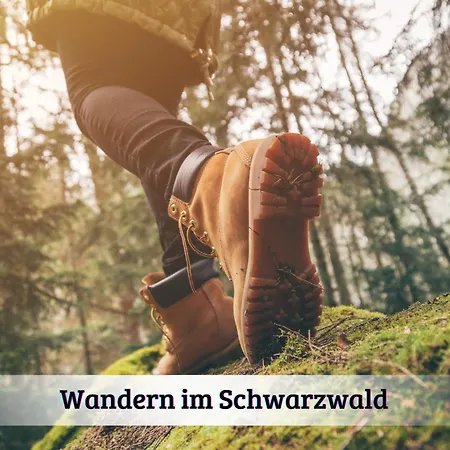 Gemuetliches Mit Wundervollem Weitblick