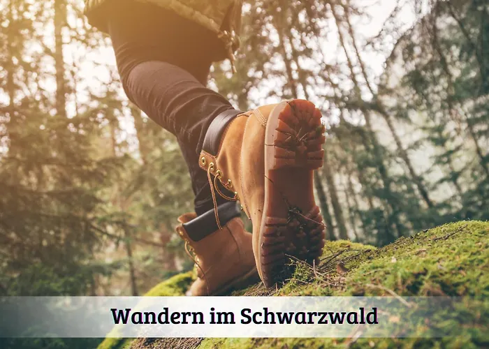 Gemuetliches Mit Wundervollem Weitblick